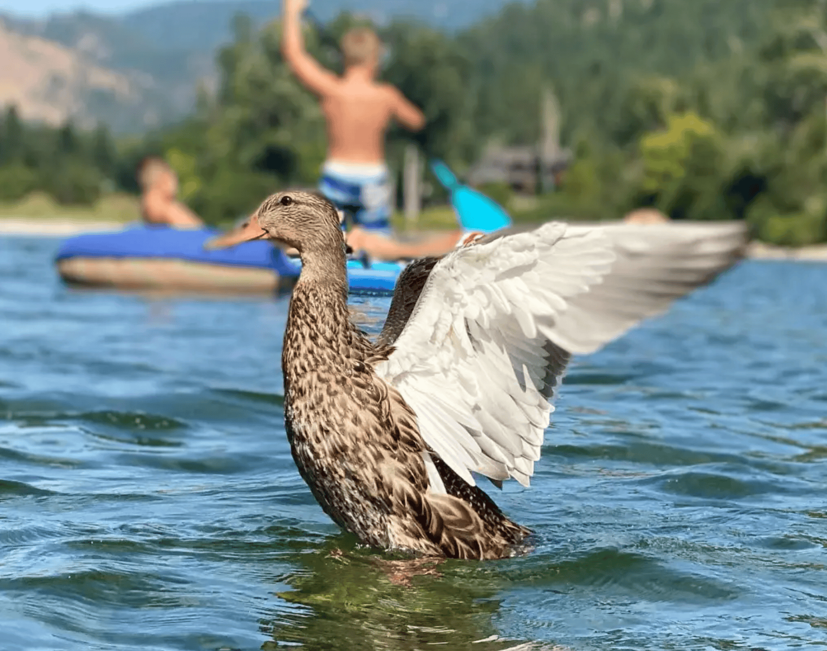 Outdoor adventure on the water in Washington State